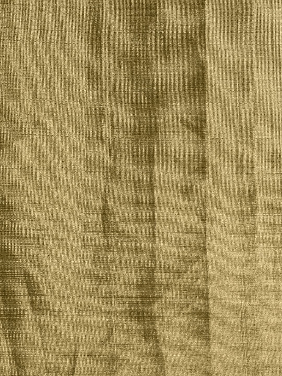 Green Tissue Chanderi Saree - Charkha TalesGreen Tissue Chanderi Saree