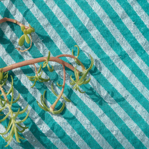 Silver Stripes Chanderi Fabric - Sea-Green