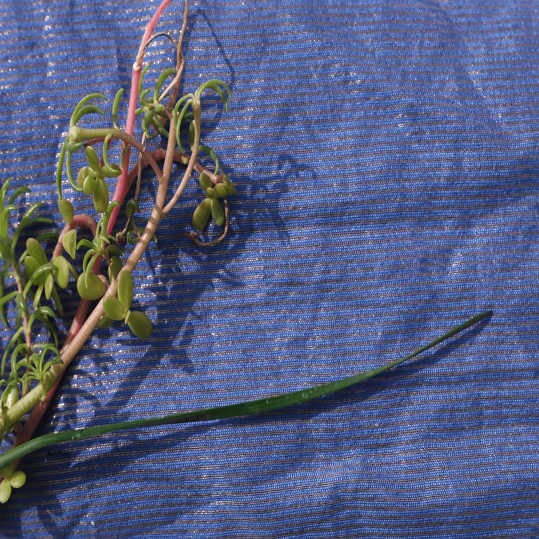 Stripes Silk Tissue Fabric - Blue - Charkha TalesStripes Silk Tissue Fabric - Blue