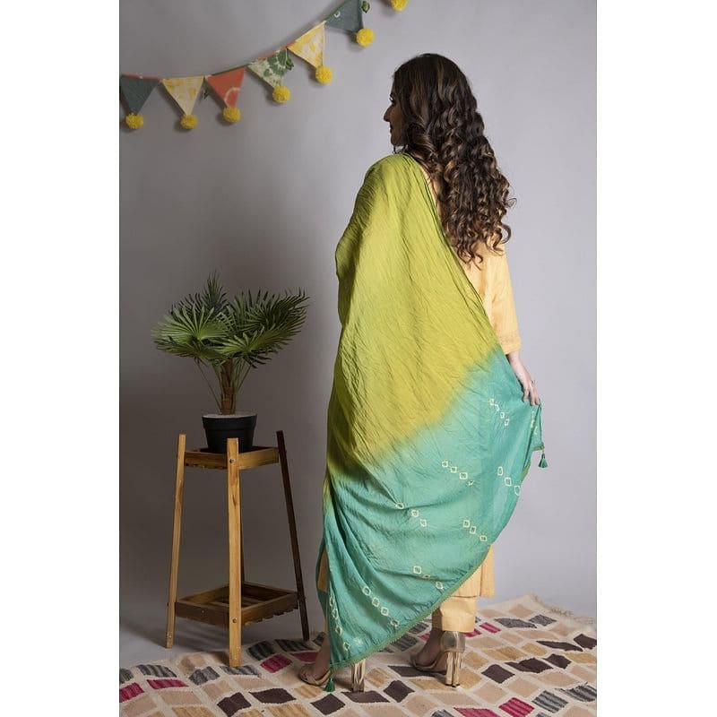 Women Chikankari Kurta Set - Yellow - Charkha TalesWomen Chikankari Kurta Set - Yellow